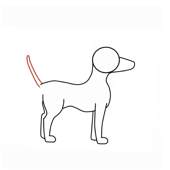 Hướng dẫn vẽ con chó siêu dễ cho bé - Bước 8