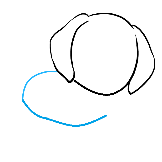 Hướng dẫn cách vẽ con chó siêu dễ thương và đáng yêu ngộ nghĩnh cho bé - Bước 3