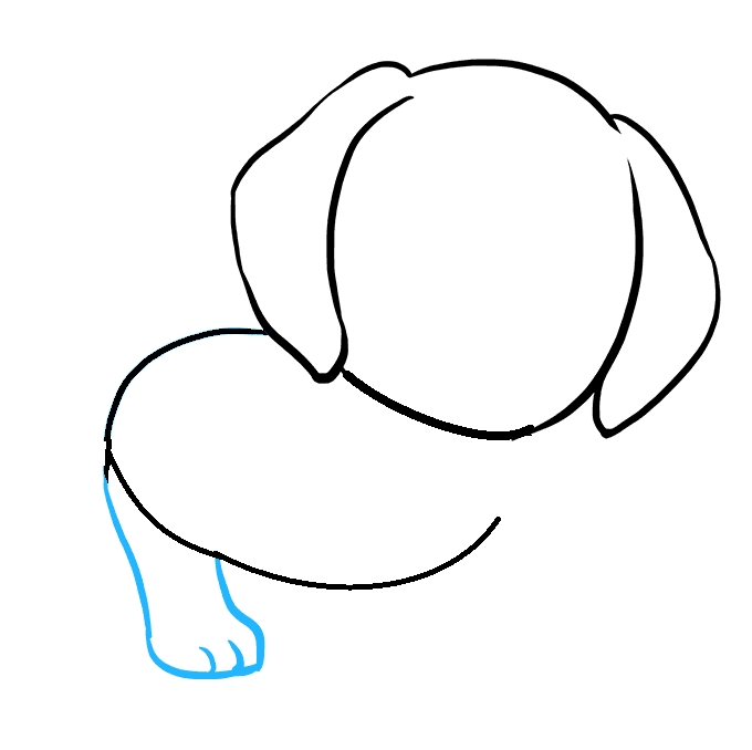 Hướng dẫn cách vẽ con chó siêu dễ thương và đáng yêu ngộ nghĩnh cho bé - Bước 4