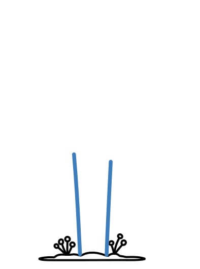 Hướng dẫn vẽ cây xương rồng dưới ánh mặt trời - Bước 3