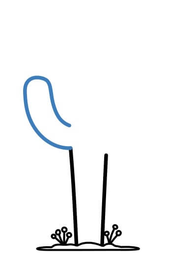 Hướng dẫn vẽ cây xương rồng dưới ánh mặt trời - Bước 4