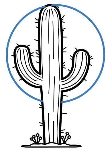 Hướng dẫn vẽ cây xương rồng dưới ánh mặt trời - Bước 9