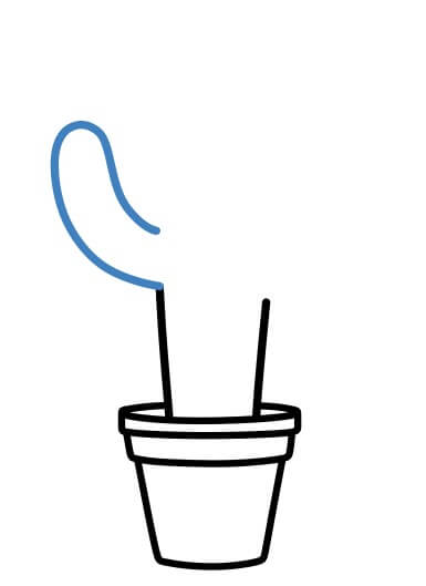 Hướng dẫn vẽ chậu cây xương rồng đơn giản - Bước 6