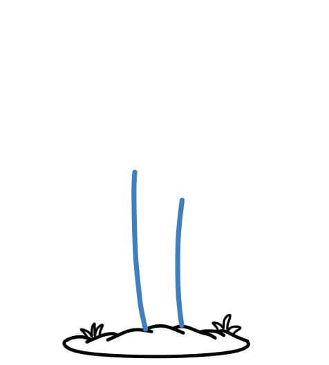 Hướng dẫn vẽ một cái cây xương rồng xanh tốt - Bước 3