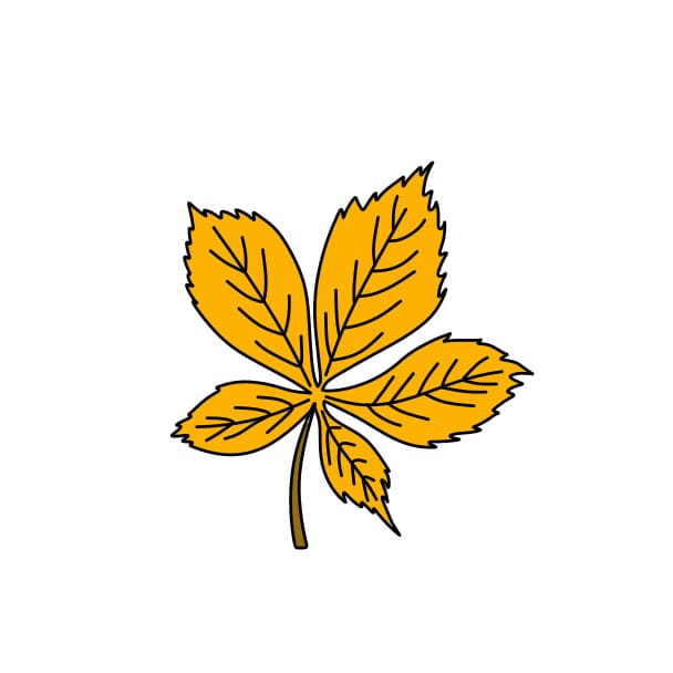 Hướng dẫn cách vẽ chiếc lá mùa thu đơn giản cho bé - Bước 5