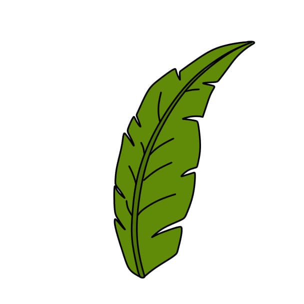 Hướng dẫn cách vẽ chiếc lá nhiệt đới đơn giản cho bé - Bước 4