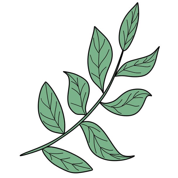 Hướng dẫn cách vẽ cành với nhiều chiếc lá đơn giản cho bé - Bước 4