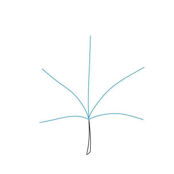 Hướng dẫn cách vẽ chiếc lá phong đơn giản cho bé - Bước 2