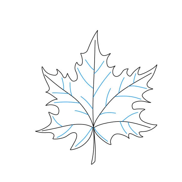 Hướng dẫn cách vẽ chiếc lá phong đơn giản cho bé - Bước 4