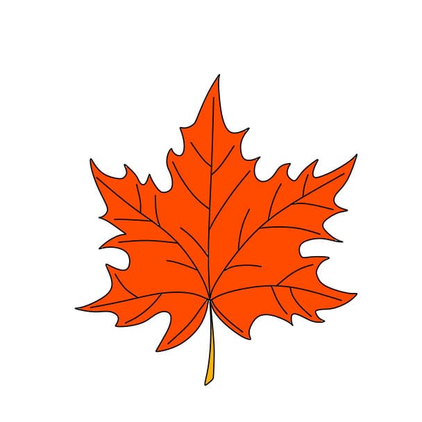 Hướng dẫn cách vẽ chiếc lá phong đơn giản cho bé - Bước 5