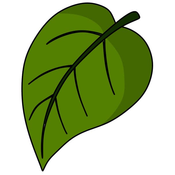 Hướng dẫn cách vẽ chiếc lá đơn giản cho bé - Bước 4