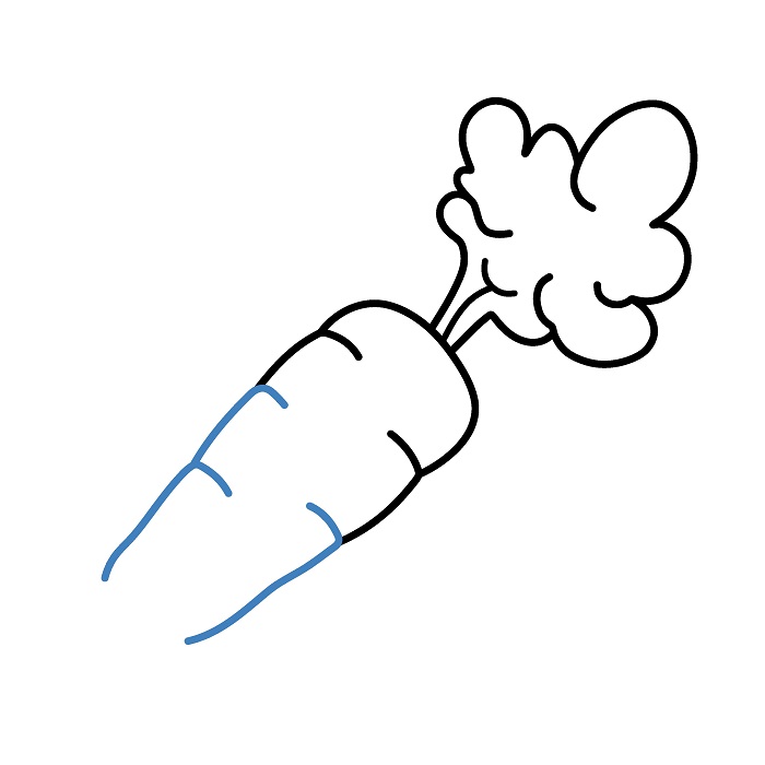 Hướng dẫn vẽ Củ Cà Rốt đơn giản. - Bước 4