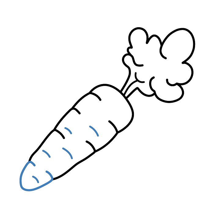 Hướng dẫn vẽ Củ Cà Rốt đơn giản. - Bước 5