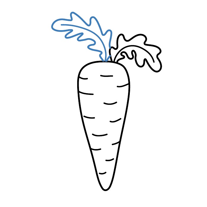 Hướng dẫn vẽ Củ Cà Rốt chân thực. - Bước 4