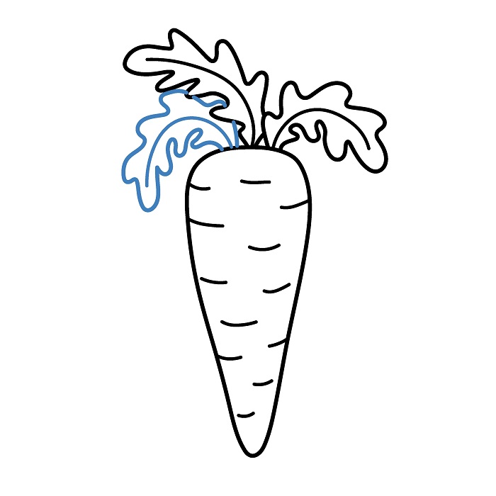 Hướng dẫn vẽ Củ Cà Rốt chân thực. - Bước 5