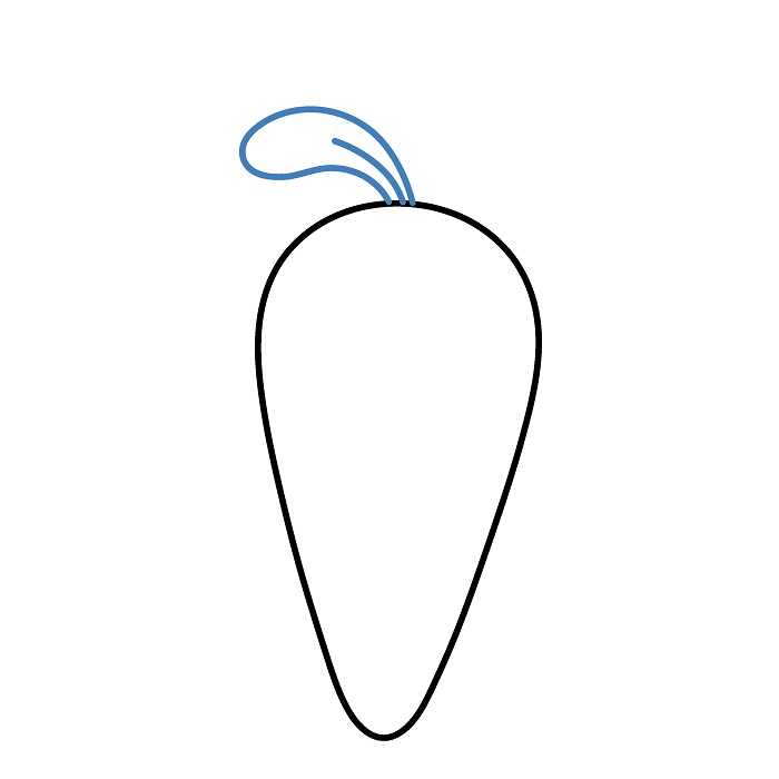 Hướng dẫn vẽ Củ Cà Rốt đầy đặn. - Bước 2