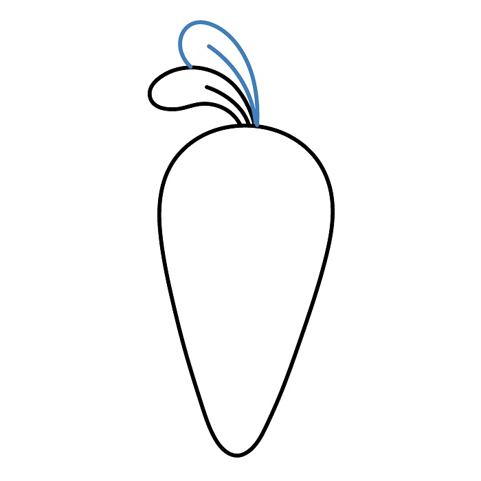 Hướng dẫn vẽ Củ Cà Rốt đầy đặn. - Bước 3