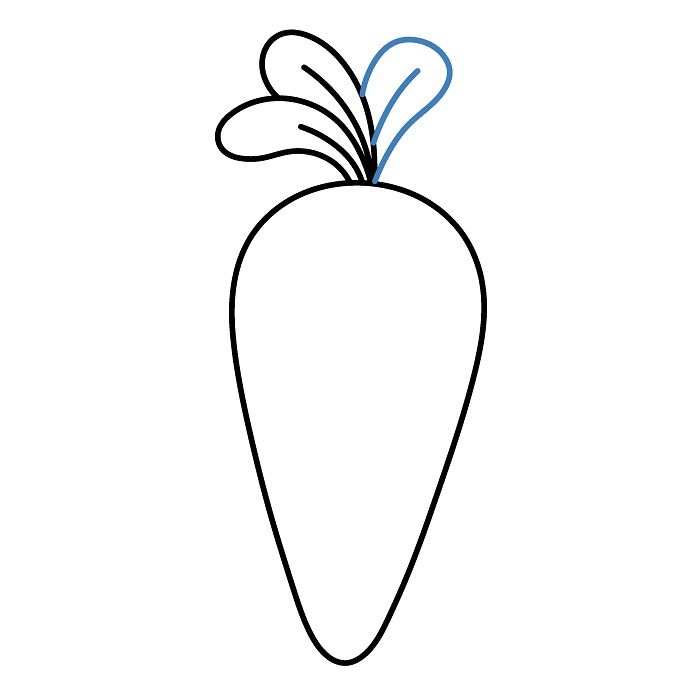 Hướng dẫn vẽ Củ Cà Rốt đầy đặn. - Bước 4