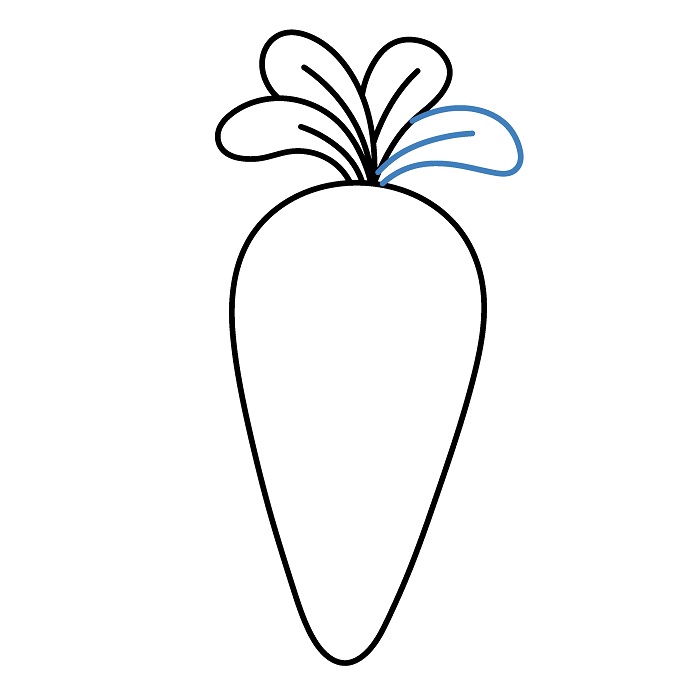 Hướng dẫn vẽ Củ Cà Rốt đầy đặn. - Bước 5