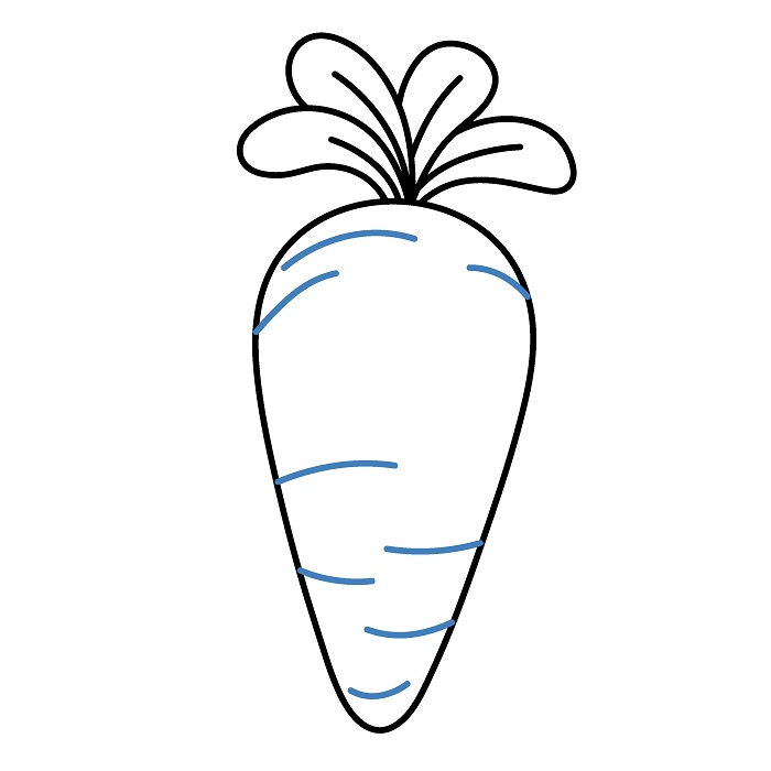 Hướng dẫn vẽ Củ Cà Rốt đầy đặn. - Bước 6