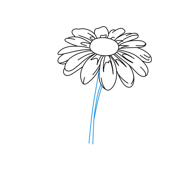 Hướng dẫn vẽ dễ dàng : hoa cúc - Bước 3