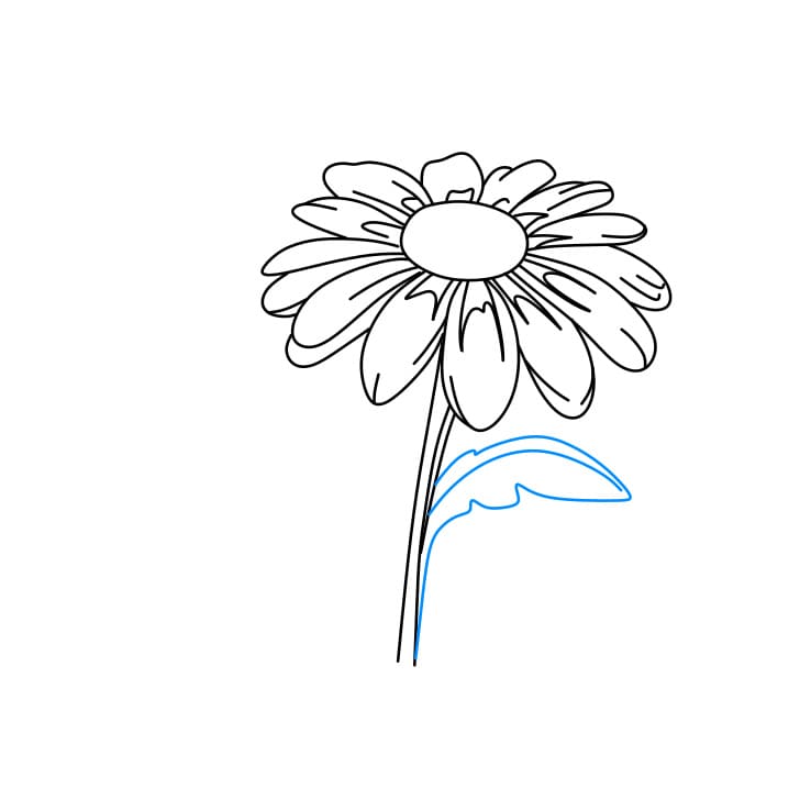 Hướng dẫn vẽ dễ dàng : hoa cúc - Bước 4