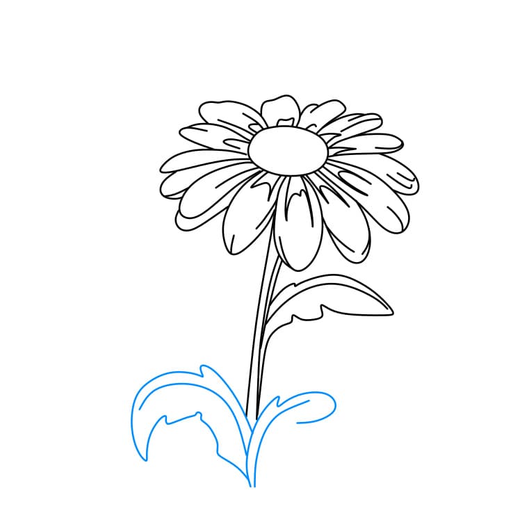 Hướng dẫn vẽ dễ dàng : hoa cúc - Bước 5