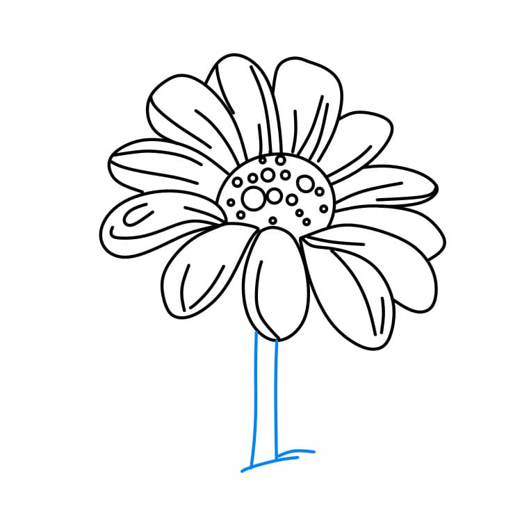 Hướng dẫn cách vẽ bông hoa cúc đơn giản - Bước 3