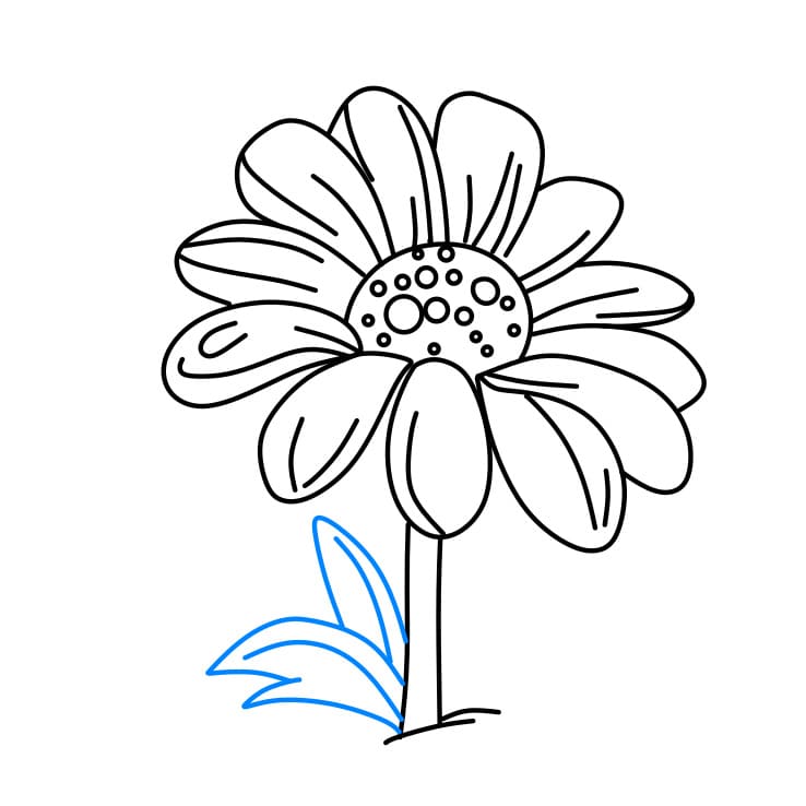 Hướng dẫn cách vẽ bông hoa cúc đơn giản - Bước 4