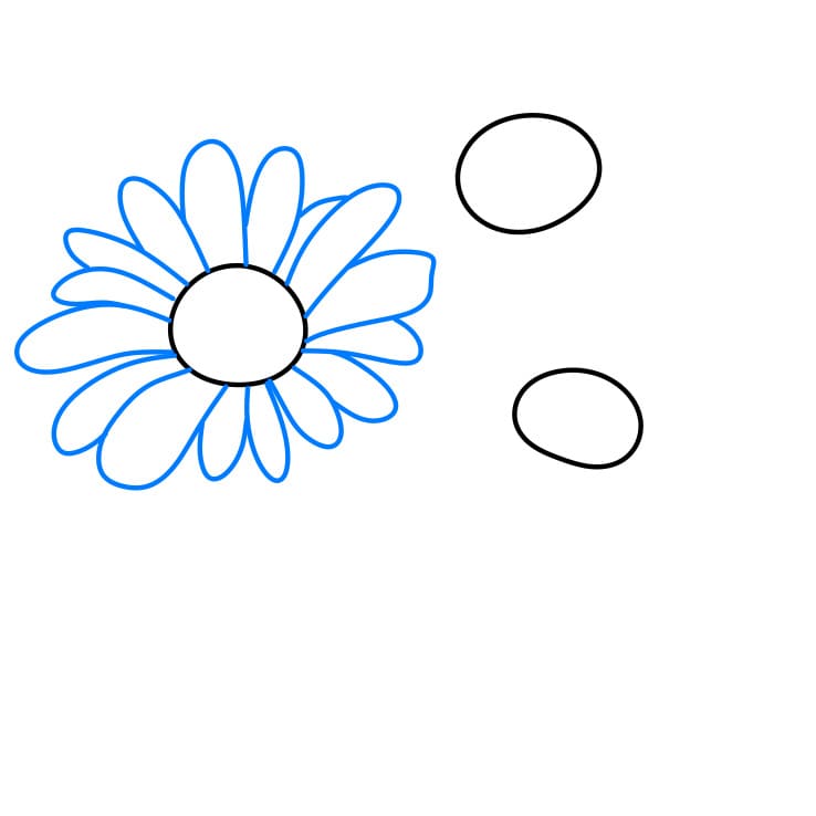 Hướng dẫn cách vẽ hoa cúc chi tiết từng bước cho bé - Bước 2
