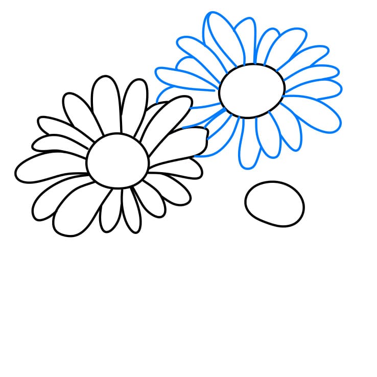 Hướng dẫn cách vẽ hoa cúc chi tiết từng bước cho bé - Bước 3