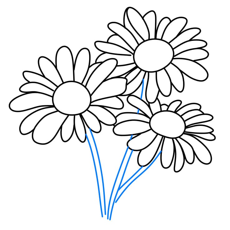 Hướng dẫn cách vẽ hoa cúc chi tiết từng bước cho bé - Bước 4