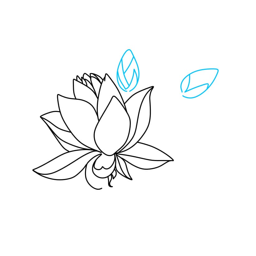 Hướng dẫn vẽ khóm hoa sen - Bước 2