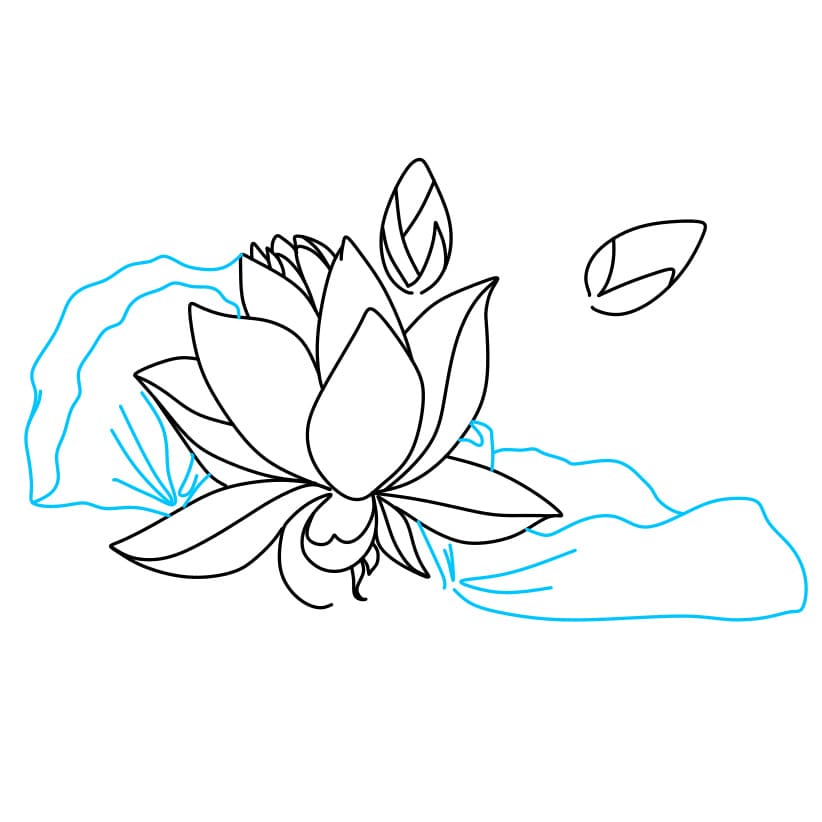 Hướng dẫn vẽ khóm hoa sen - Bước 3