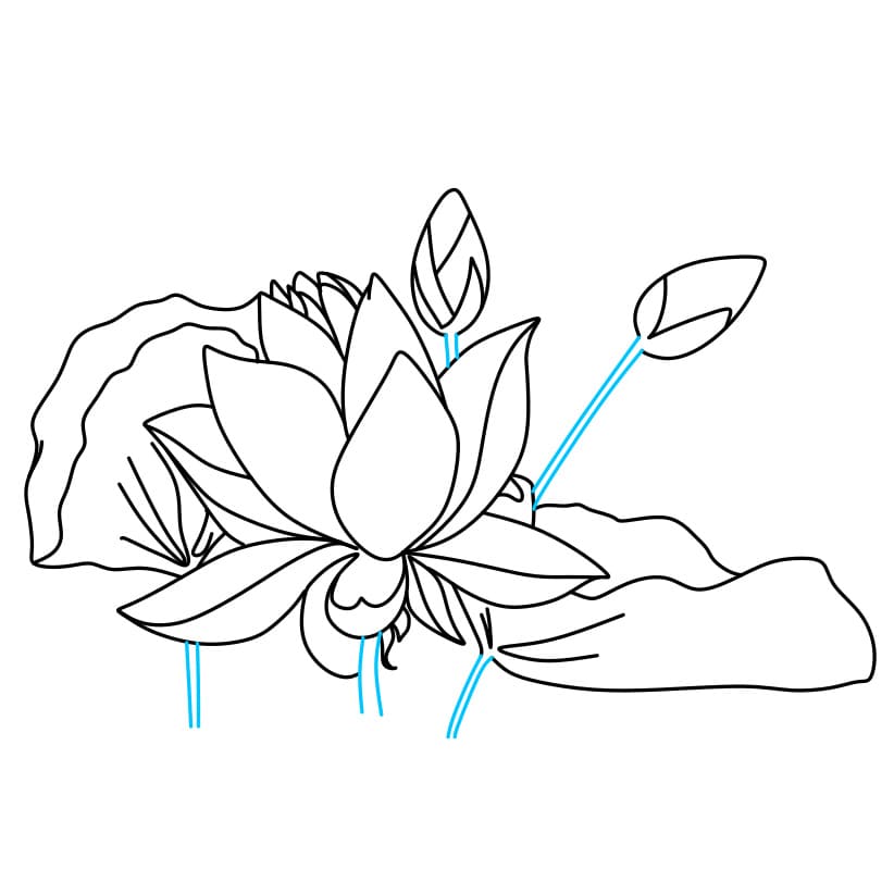 Hướng dẫn vẽ khóm hoa sen - Bước 4