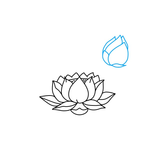 Hướng dẫn vẽ hoa sen - Bước 2