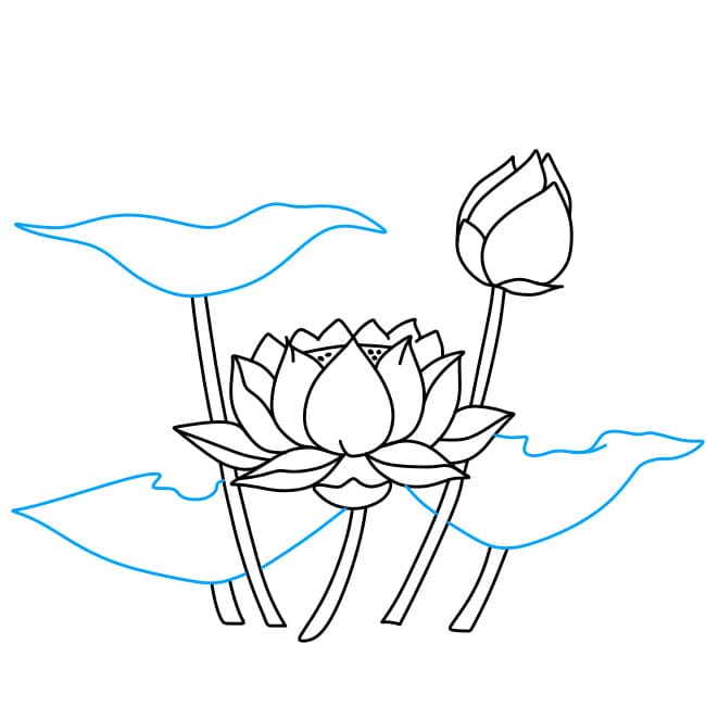 Hướng dẫn vẽ hoa sen - Bước 4