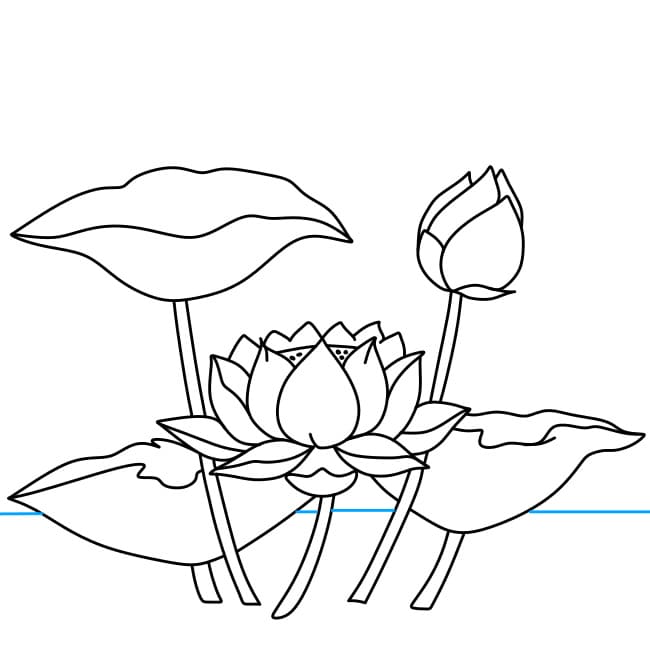 Hướng dẫn vẽ hoa sen - Bước 5