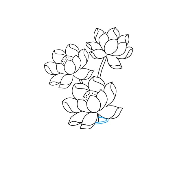 Hướng dẫn vẽ bình hoa sen thật là tinh tế - Bước 5