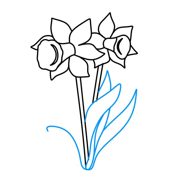Hướng dẫn vẽ bó hoa thủy tiên đơn giản và đẹp cho bé - Bước 1