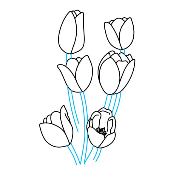 Hướng dẫn vẽ bó hoa tulip xinh đẹp - Bước 2