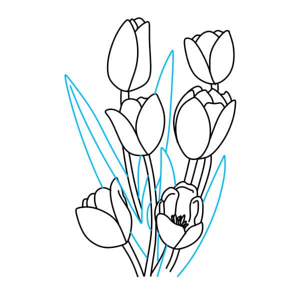 Hướng dẫn vẽ bó hoa tulip xinh đẹp - Bước 3