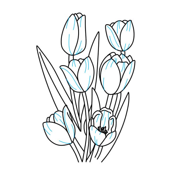 Hướng dẫn vẽ bó hoa tulip xinh đẹp - Bước 4