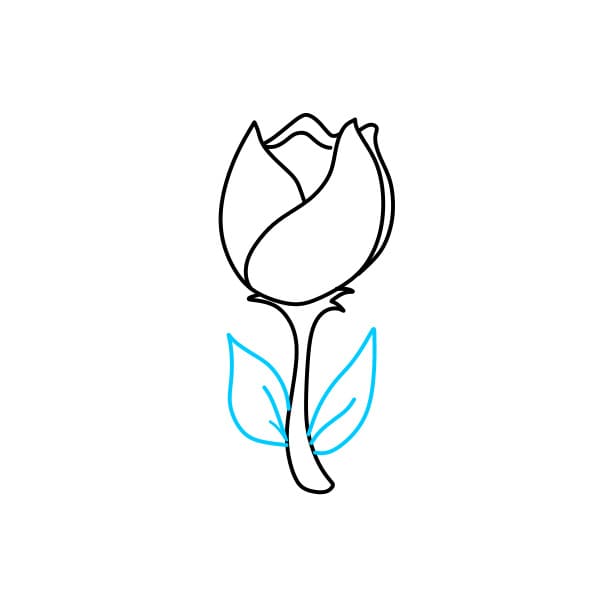 Hướng dẫn vẽ bông hoa tulip đơn giản - Bước 3