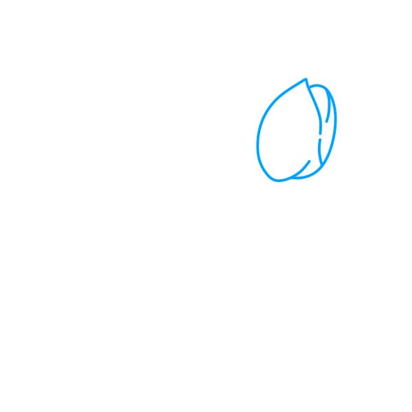 Hướng dẫn vẽ bó hoa tulip - Bước 1