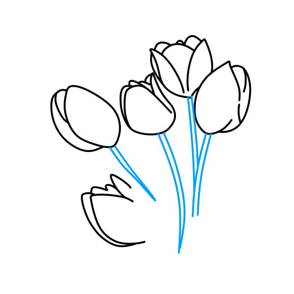 Hướng dẫn vẽ bó hoa tulip - Bước 2
