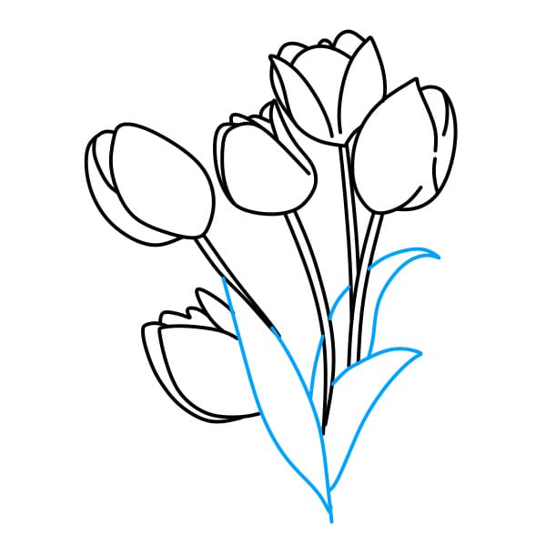 Hướng dẫn vẽ bó hoa tulip - Bước 3
