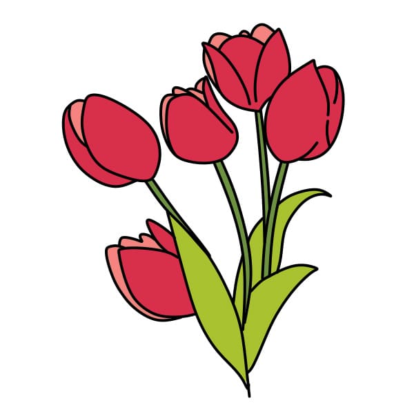 Hướng dẫn vẽ bó hoa tulip - Bước 4