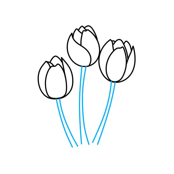 Hướng dẫn vẽ bó hoa Tulip đơn giản - Bước 2