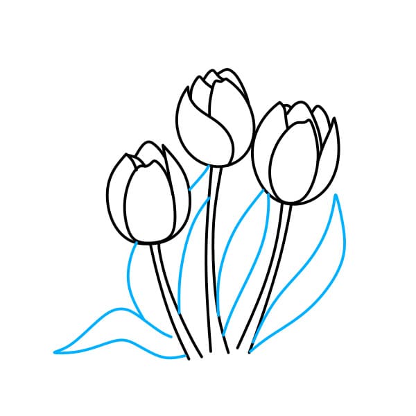 Hướng dẫn vẽ bó hoa Tulip đơn giản - Bước 3